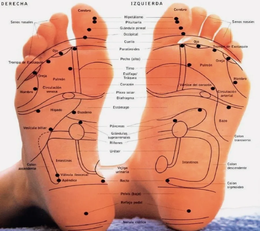 Reflexología podal, estimulación de zonas reflejo en los pies
